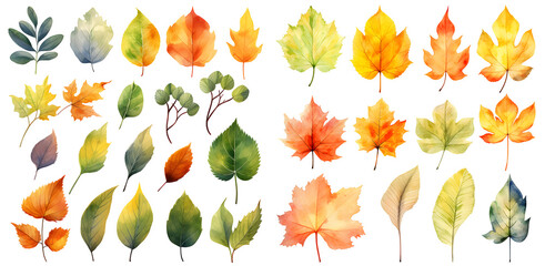 autumn leave watercolor illustration clipart. Generative AI.