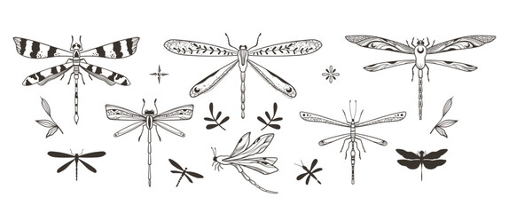 Mystical ornate dragonfly and moth isolated clipart bundle, magic black and white insects and leaves silhouettes in vector, unreal hand drawn entomology set, isolated elements - obrazy, fototapety, plakaty