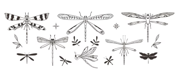 Foto op Plexiglas Mystical ornate dragonfly and moth isolated clipart bundle, magic black and white insects and leaves silhouettes in vector, unreal hand drawn entomology set, isolated elements © Maria Zamchiy 