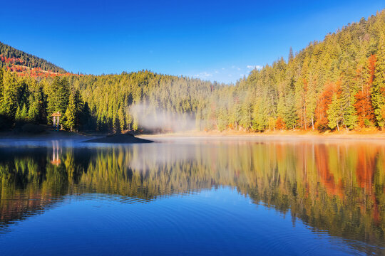 sunny landscape with lake among forest in autumn. fog above the water surface
