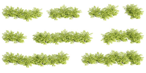 set of shrubs, 3D rendering with transparent background, for illustration, digital composition, architecture visualization