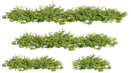 set of shrubs, 3D rendering with transparent background, for illustration, digital composition, architecture visualization © ANDRIBENKY