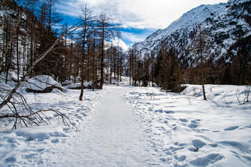 Gran Paradiso National Park ( Italy ) winter landscape