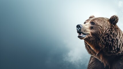 Closeup of a big grizzly bear on a light background with copy space created with Generative AI - obrazy, fototapety, plakaty