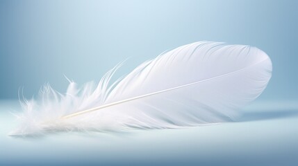 A swan's pure white feather, appearing ethereal and soft against a matching white background.