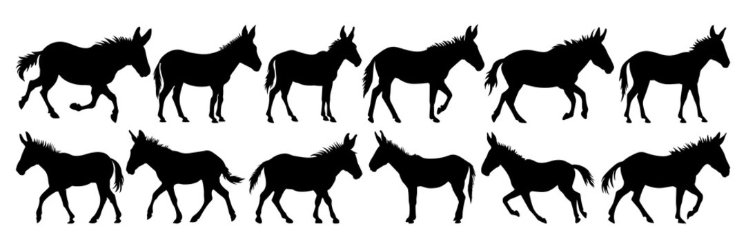 Donkey silhouettes set, large pack of vector silhouette design, isolated white background