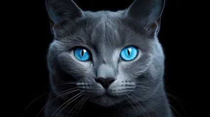 Foto op Plexiglas Blue cat with blue eyes on a black background. 3d rendering Generative AI © Alex