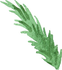 Abstract vector watercolor illustration of spruce needles. Hand drawn nature design elements isolated on white background.