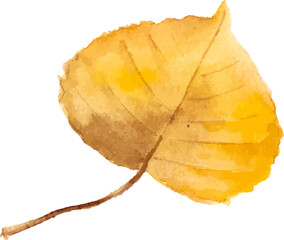 Naklejka premium Abstract vector watercolor illustration of autumn leaves. Hand drawn nature design elements isolated on white background.
