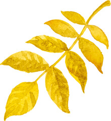 Abstract vector watercolor illustration of autumn leaves. Hand drawn nature design elements isolated on white background.