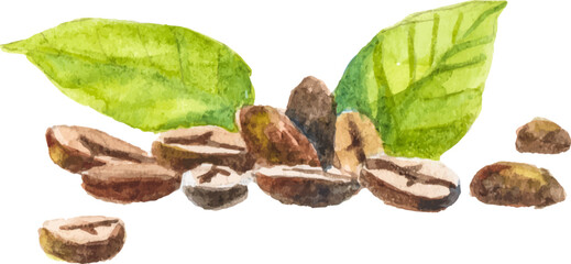 Abstract vector watercolor illustration of coffee beans. Hand drawn nature design elements isolated on white background.