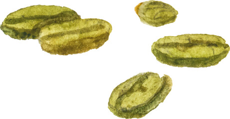 Abstract vector watercolor illustration of coffee beans. Hand drawn nature design elements isolated on white background.