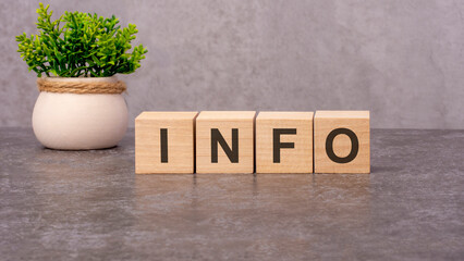 INFO concept on wooden cubes and flower in a pot in the background
