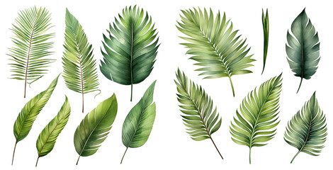 Tropical leave watercolor illustration clipart. Generative AI.