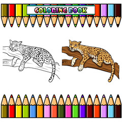 Leopard lying on a tree branch for coloring book
