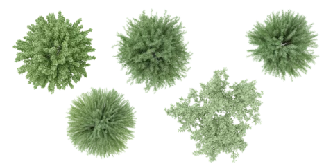 Fotobehang set of Mugworts,Salix purpurea,Myrtle trees rendered from the top view, 3D illustration, for digital composition, illustration, 2D plans, architecture visualization © Saifstock