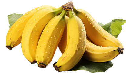 bunch of fresh bananas with water droplets  isolated on transparent background