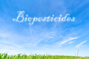 Biopesticides: Environmentally friendly pest control agents derived from natural sourc