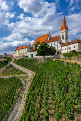 Fototapeta na wymiar Paradise vineyard in Znojmo town, Southern Moravia, Czech Republic