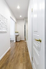 Minimalist hallway with modern interior design in contemporary apartment.