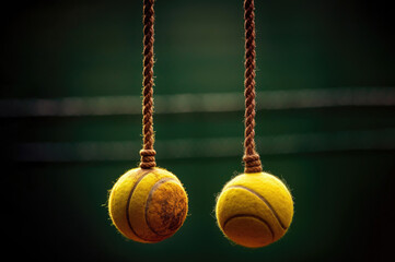  Two Tennis Balls on the Strings Generative AI