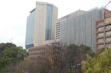 Tokyo Medical and Dental University, Tokyo Ochanomizu, Japan