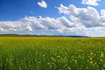 Landscape of the Orkhon Valley in Mongolia