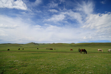 Landscape of the Orkhon Valley in Mongolia