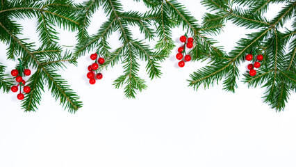 Natural green spruce branches decorated with red berries. White background.