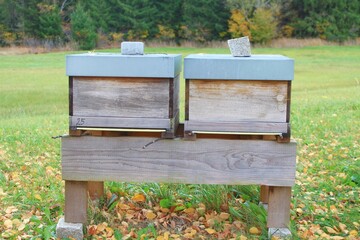 Bienenstöcke (Imkerei) in herbstlicher Landschaft, Allgäu, Bayern
