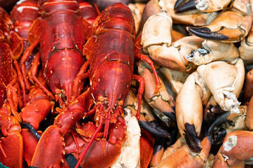 Lobsters background, cooked langoustine and seafood in market.