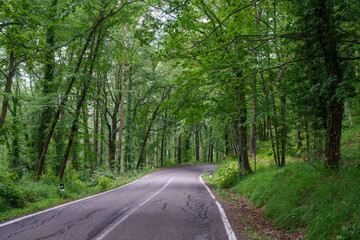 Road to Sorano, Grosseto province, Tuscany