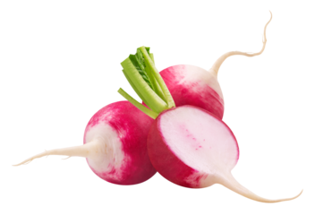 Radish isolated. Fresh radish and half a radish on a transparent background.