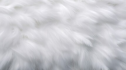 white feather wooly pattern texture background