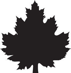 Maple leaf silhouette vector illustration