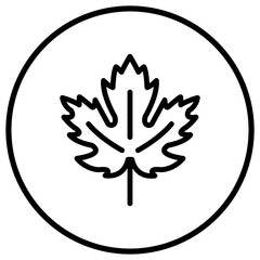 Maple leaf Vector Icon Design Illustration