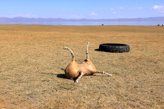 a leather dummy instead of Goat carcass used for playing traditional horse game kok boru in Kyrgyzstan