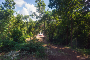 A pagoda among forest
