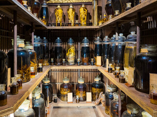 Ho Chi Minh City, Vietnam - Medicinal wines on display at The Museum of Traditional Vietnamese...