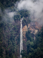 panoramic view of a rain forest waterfall
