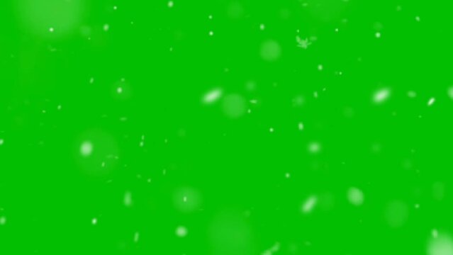 Snowy Symphony in Video. Winter Wonderland Visuals. Green Screen isolated Snow Video