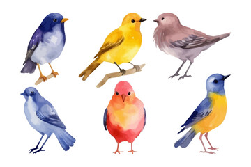 Fototapeta premium Watercolor bird collection. Fall season. Nature element.