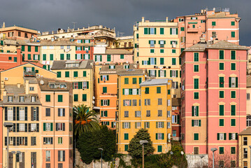 Fototapeta na wymiar Typical colored houses in the downtown of Genoa