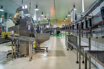 Cooking oil or Sunflower oil in the bottle moving on production line, factory in Ho Chi Minh city,...