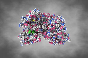 Kaposi's sarcoma-associated herpesvirus protease in complex with allosteric inhibitor (compound 733). Atoms are shown as spheres with conventional color coding. 3d illustration