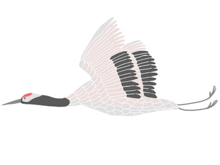 飛翔する美しい鶴　鶴のイラスト　クリップアート
お正月素材　縁起物　