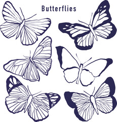 (.)Butterflies set. Hand drawn butterflies on white background. Vector illustration.