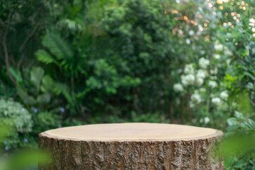 Fototapeta premium Wood tabletop podium floor in outdoors tropical garden forest blurred green leaf plant nature background.Natural product placement pedestal stand display,jungle paradise concept.