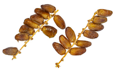 Algeria branch fresh dates isolated on white background. Package design elements with clipping path