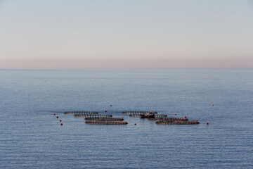 Fish farming in the Mediterranéean sea between Cherchell and Damous, Algeria.